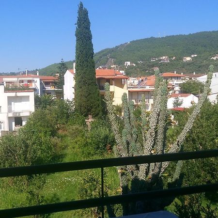 Πανσιόν Χρύσα Ξενοδοχείο Σκιάθος Πόλη Εξωτερικό φωτογραφία
