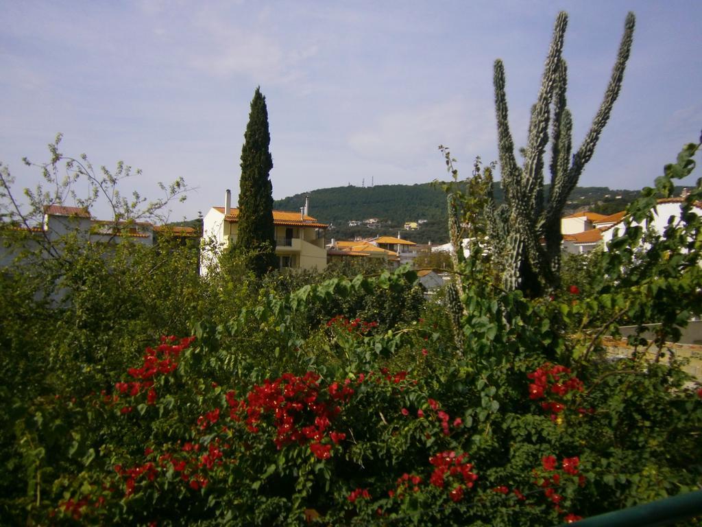Πανσιόν Χρύσα Ξενοδοχείο Σκιάθος Πόλη Εξωτερικό φωτογραφία